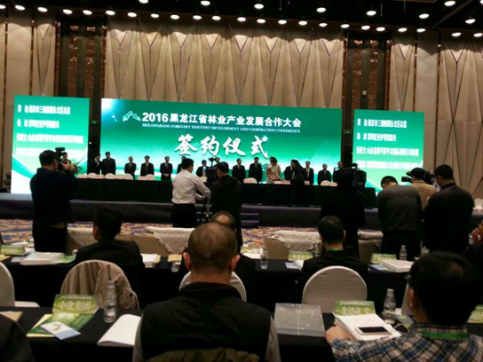 仟億達(dá)831999碳交易業(yè)界影響強(qiáng)，副總田衛(wèi)然接受黑龍江廣播電視臺(tái)采訪